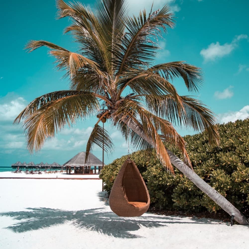 Coco Palm Dhuni Kolhu