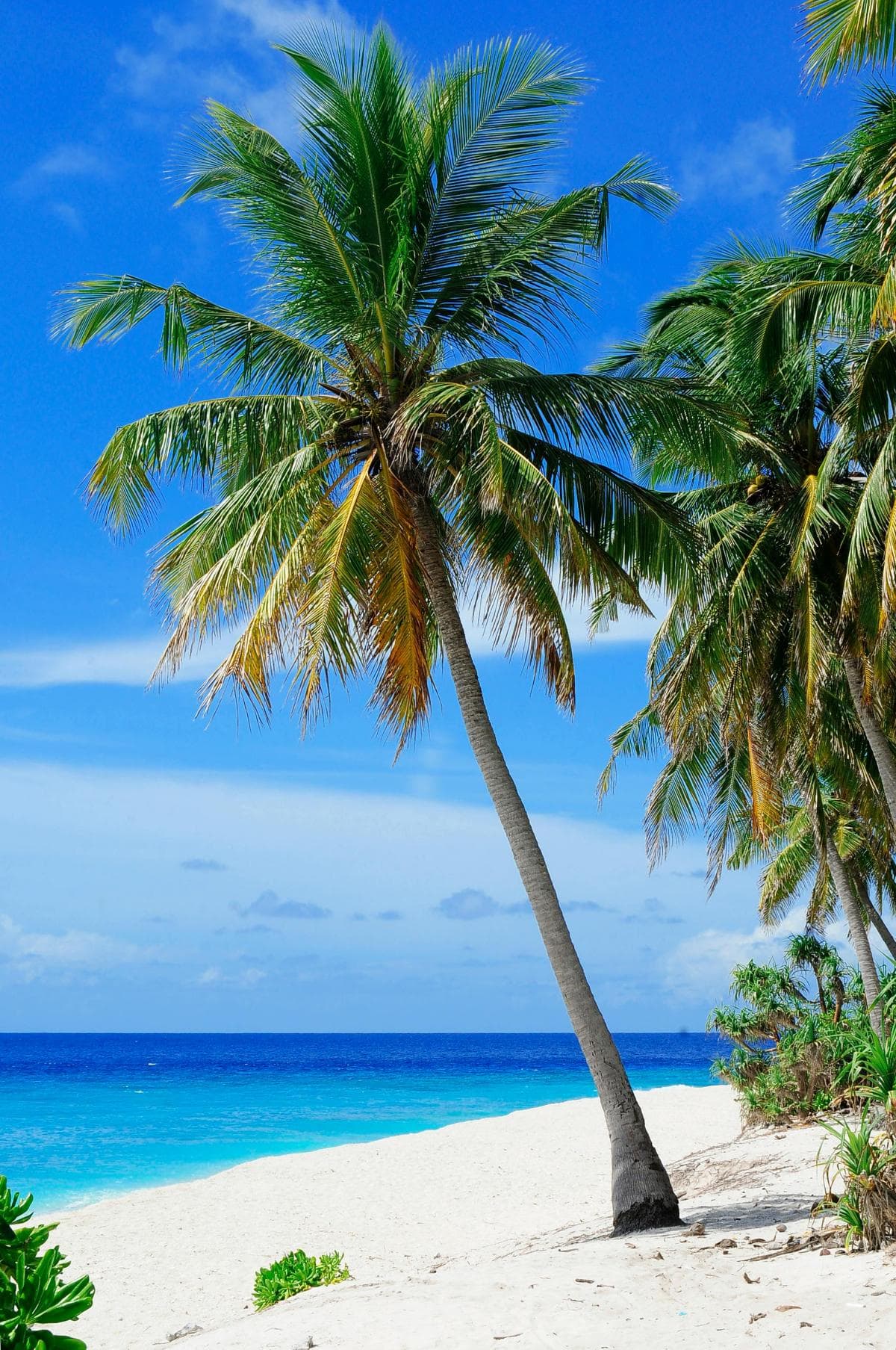 Local Island Tour